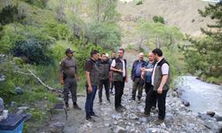 Orman Çalışmaları Yerinde İncelendi