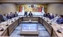Sahipsiz Hayvanlar İçin Yol Haritası