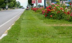 Kentin Parklarında Renkli Dokunuş