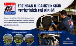 Erzincan'da Köylerde Hayvancılığa Teknik Destek