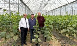 Süleyman Tan’dan Sera Turu
