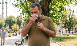Yaz Gribi Nedir, Nasıl Geçer? Belirtilerine Dikkat