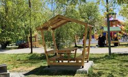 Ekşisu'da banklar, kamelyalar ve oturma alanları modernize ediliyor