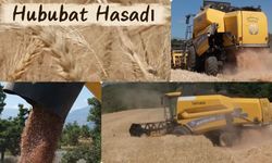 Erzincan Belediyesine Ait 1.095 Dönüm Tarlada Hububat Hasadı Başladı
