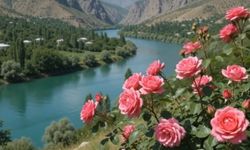 Pabuçcu, Kemaliye'nin Güzelliklerini Notalarla Buluşturdu