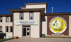 Refahiye İçin Yeni İş Kapısı: İŞKUR'dan 18 Kişilik İstihdam Müjdesi!