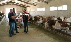 Erzincan'da Modern Hayvancılık Sahada İncelendi
