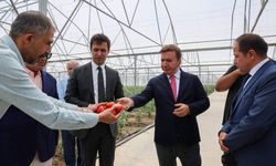 Vali Aydoğdu'dan Üretim Sahasına Yakın Takip