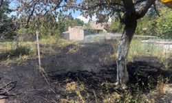 Erzincan'da Bahçe Yangını Korkuttu: Alevler Büyümeden Kontrol Altına Alındı (VİDEO)