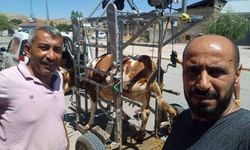 Erzincan DSYB'den Tırnak Bakım Ekibine Saha Ziyareti