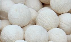 Geleneksel Kurutta Baharat İnovasyonu: 120 Gün Boyunca Küflenmiyor!