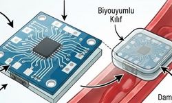 Organ Nakillerinde Yeni Dönem: Vücut İçinden Kablosuz Basınç Takibini Mümkün Kılan Akıllı İmplant
