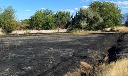 Kavakyolu'nda Korkutan Anız Yangını!