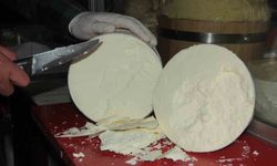 Erzincan Tulum Peyniri toz forma taşınıyor