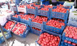 Erzincan'da salçalık domates ve biberler tezgahlarda