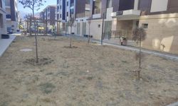 Kızılay TOKİ'de Çimler Kurudu, Bahçeler Bakımsız Kaldı