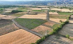 Erzincan'da Arazi Toplulaştırmasıyla Verimlilik Artıyor