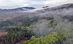 Erzincan’da Sis ve Kar Manzaraları Büyüledi (VİDEO)