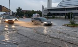 Erzincan'da sağanak yağış etkili oldu