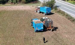 Erzincan'da şeker pancarı hasadı başladı