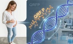 Gebelikte Şeker Hastalığı İçin Yeni Umut: Bilim İnsanları O Peptidi Keşfetti!