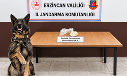 Erzincan’da yasaklı madde operasyonu: 2 şüpheli gözaltında