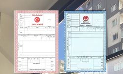Tapu Alırken Dikkat: Pembe ve Mavi Arasındaki Fark
