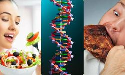 Vegan ve Et Yiyenlerin DNA’ları Karşılaştırıldı: İşte Yaşlanma Hızını Belirleyen O Gizli Faktör!