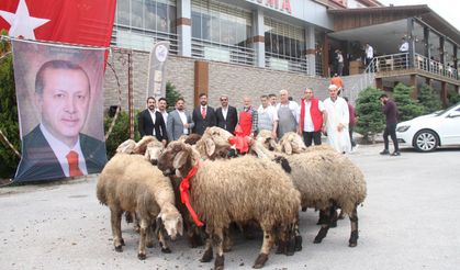 Erdoğan için 20 adak kurban kesti