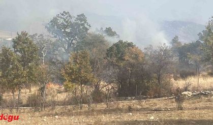 Isparta’da 10 dekar alan küle döndü