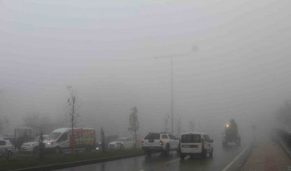 Şırnak sağanak yağış ve sise teslim oldu: Sel suları ağaçları kökünde söktü