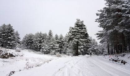 Erzincan Tekçam Geçidi