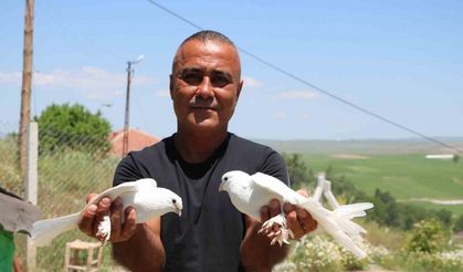 Bu kuşlara değer biçilemiyor