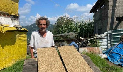 9 yıldır hayvanları için arpadan özel yem üreterek süt verimlerini arttırıyor