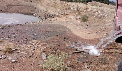 Bekilli’de vahşi hayvanlar için göletlere su takviyesi yapıldı