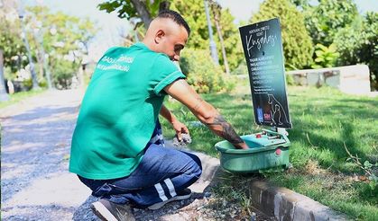 Kuşadası Belediyesi mevsim normalleri üzerinde seyrden sıcaklar nedeniyle sokak hayvanları için sulukların sayısını arttırdı