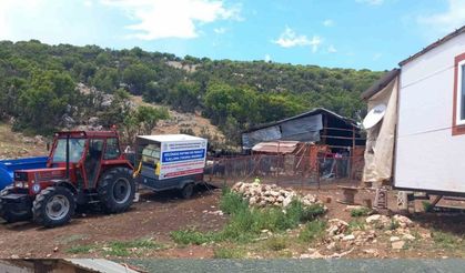 Tavas Belediyesi 21 bin 735 küçükbaş hayvana parazit bakımı yaptı