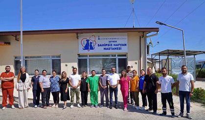 Sokak hayvanları bu hastanede şifa buluyor