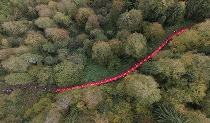Gümüşhane'nin Örümcek Ormanları'nda dev Türk Bayrağı ile doğa yürüyüşü