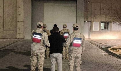 Iğdır'da 15 düzensiz göçmen yakalandı