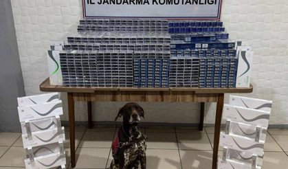 Ağrı'da Kaçakçılık Operasyonu: 6 Bin 548 Paket Gümrük Kaçağı Sigara Ele Geçirildi, 4 Gözaltı