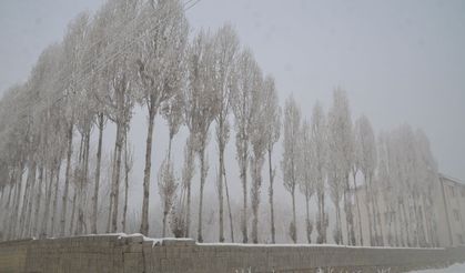 Muş ve Hakkari'de Olumsuz Hava Koşulları: Karla Mücadele Çalışmaları Devam Ediyor