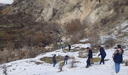 Tunceli Çemişgezek'te Üniversite Öğrencilerinden Yaban Hayvanlarına Destek