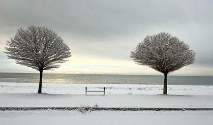 Van, Muş, Bitlis ve Hakkari’de Kar Yağışı Ulaşımı Olumsuz Etkiledi, 644 Yerleşim Yolu Kapanmış Durumda