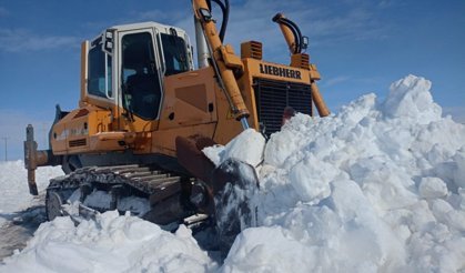 Ağrı'da karla mücadele çalışmaları sürüyor