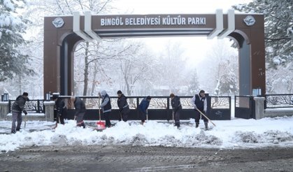 Bingöl ve Şırnak’ta Kar ve Tipi Nedeniyle 131 Yerleşim Yeri Ulaşıma Kapandı