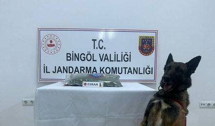 Bingöl’de Uyuşturucu Operasyonu: 8 Şüpheli Yakalandı