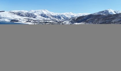 Muş’ta Evlat Nöbeti: Aileler Çocuklarına Teslim Olmaları Çağrısında Bulundu