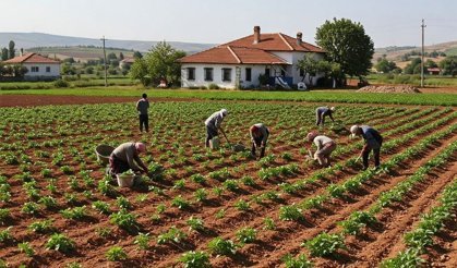 Erzincan'da Çiftçilere Modern Tarım Eğitimi Başlıyor!