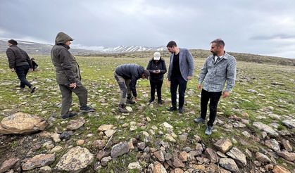 Elazığ’ın Endemik Güzelliği “Karakoçan Lalesi” Dünya Botanik Literatüründe Yerini Aldı